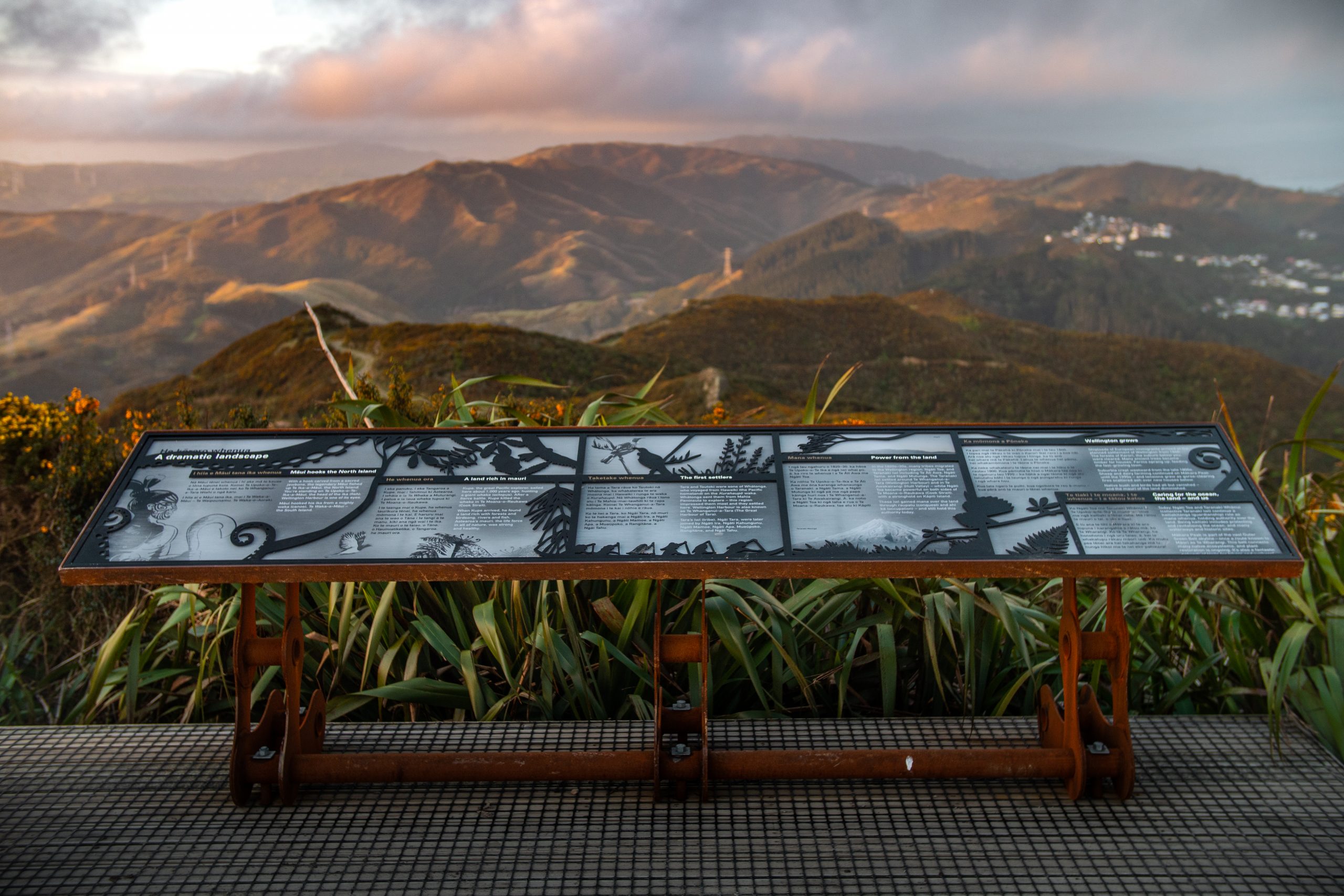 Makara Panels_Johnny Hendrikus_2020 (1 of 1)