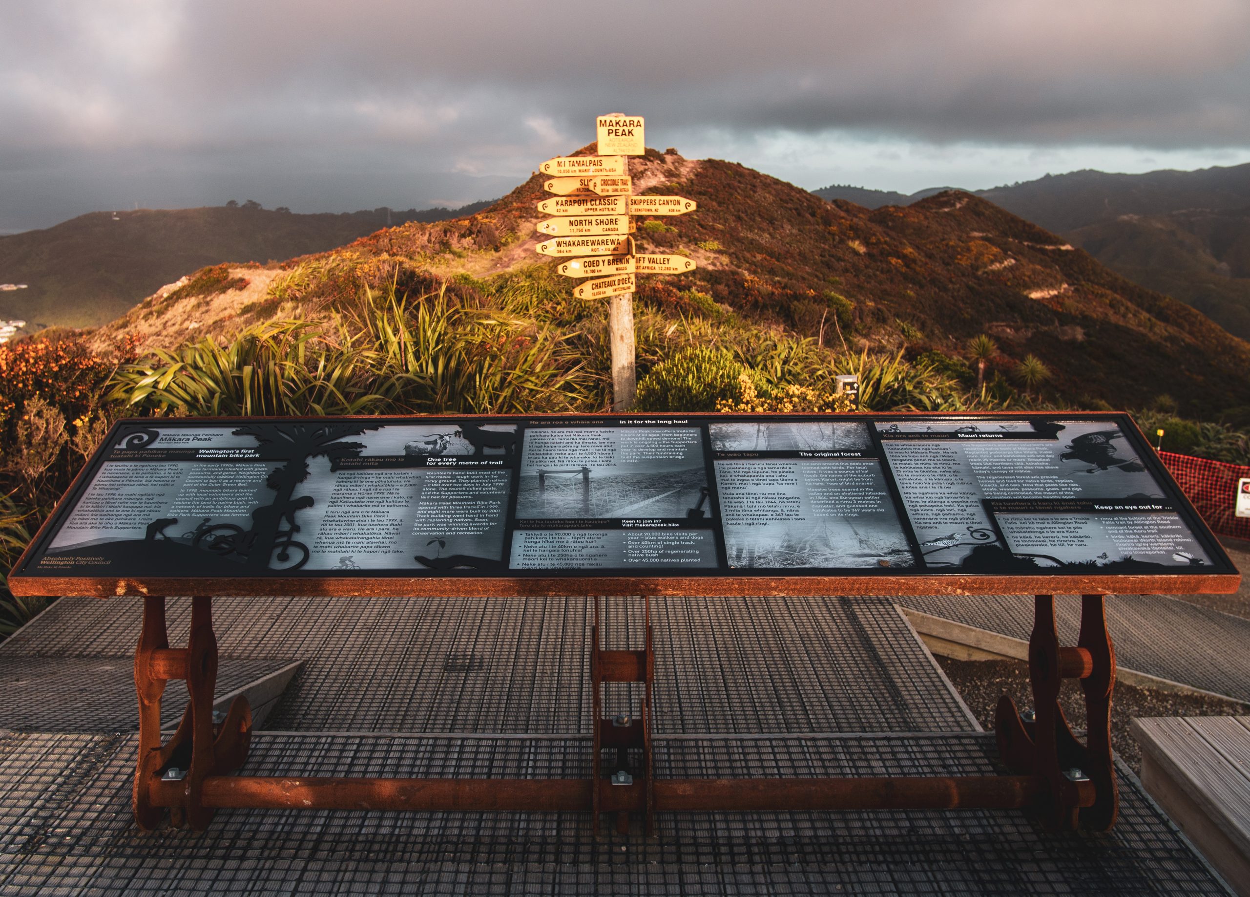 Makara Panels_Johnny Hendrikus_2020 (1 of 16)